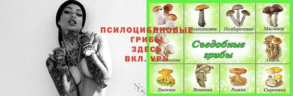a pvp Володарск