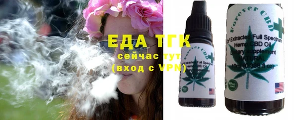 индика Вяземский
