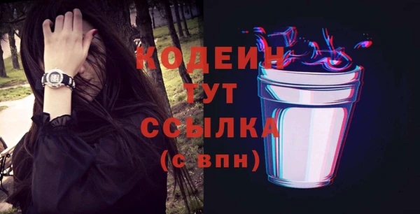 индика Вяземский