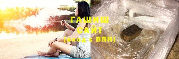 индика Вяземский