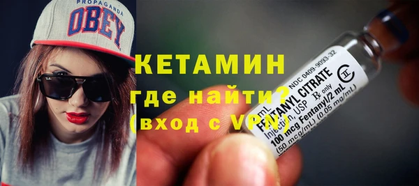 индика Вяземский