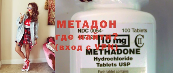 индика Вяземский