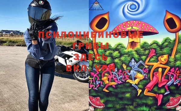 spice Вязьма