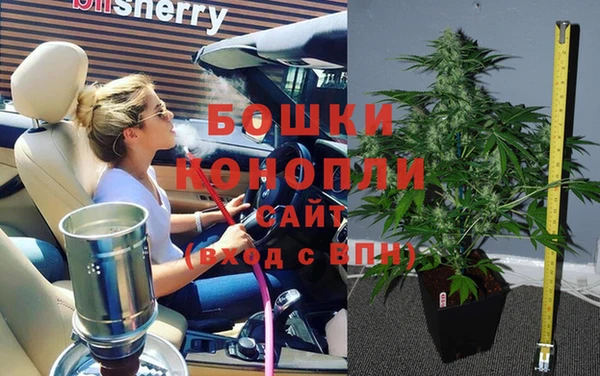 индика Вяземский