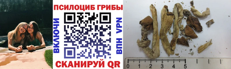 MEGA tor Дмитровск Галлюциногенные грибы прущие грибы